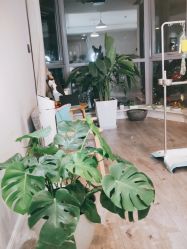 -一个差评成就的纹眉店