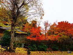 -城崎温泉 外七汤