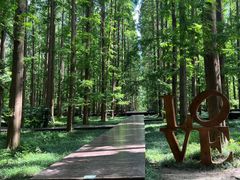 -黄海国家森林公园