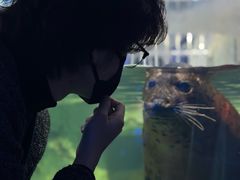 -左海海底世界