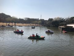 -上海方塔园