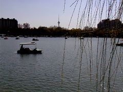 -紫竹院公园冰场