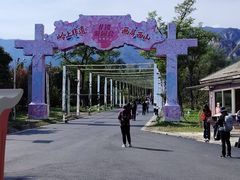 -北京凤凰岭