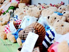 -济州岛泰迪熊博物馆