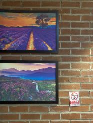 -时尚殿堂·颜SPA