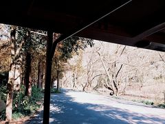 -五泄景区