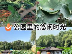-北陵公园