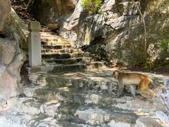 -白帝城·瞿塘峡景区