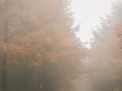 -山王坪喀斯特国家生态公园