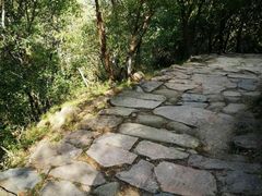 -北京鹫峰国家森林公园