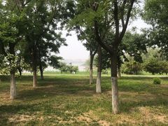 -武清南湖绿博园