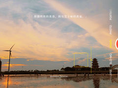 -奉贤海滩