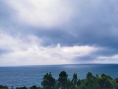 -广东惠东海龟国家级自然保护区