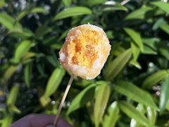 -普宁反沙番薯芋头