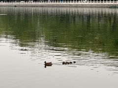 -后海公园