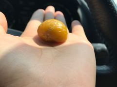 -阿男野栗王(金门路店)