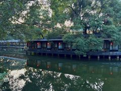 -侨美·唐荔园·40年地道粤菜