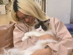 -李小姐の猫咖啡馆(五角场店)