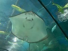 -福州罗源湾海洋世界旅游区