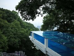 -南山植物园