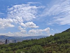 -青藏高原野生动物园