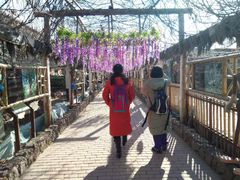 -呀路古热带植物园