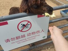 -秦皇岛野生动物园