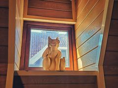 -天津津利华酒店