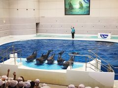 -鹿儿岛水族馆