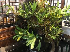 -庆合府重庆大排档(紫都城店)