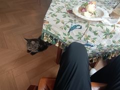 -鸣鹤古镇