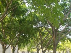 -厦门国家会计学院