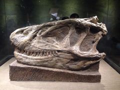 iphone_upload_pic-自贡恐龙博物馆