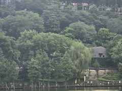 -重庆彩云湖湿地公园