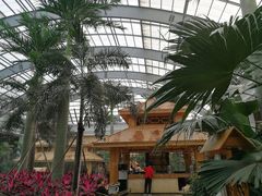 -国信南山温泉