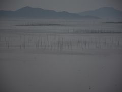 -北岐滩涂