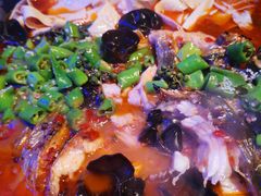 -青炉里青花椒鲜活烤鱼(理工大店)