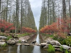 -东平国家森林公园
