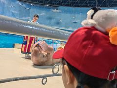 -泉城欧乐堡海洋极地世界