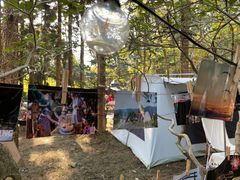 -南宁良凤江国家森林公园