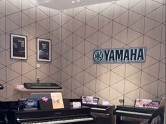 -知音艺术教育培训·钢琴培训·音乐培训(河西金鹰世界校区)