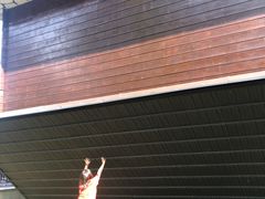 -金山农民画村-枫泾波兰倒置屋