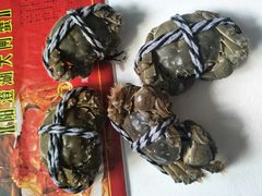 -小陆莲花蟹园农家乐(莲花岛店)
