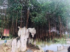 -松山湖南湖湾露营营地