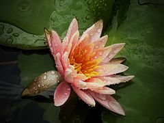 -天河体育中心