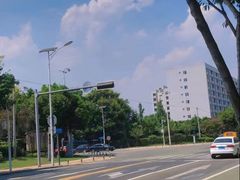 -双流老字号董蹄花(机场南四路店)