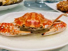 -大东海海鲜酒楼(渔人码头总店)