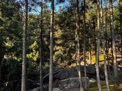 -玉苍山国家森林公园