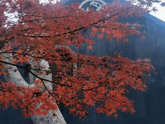 -东山雕花楼