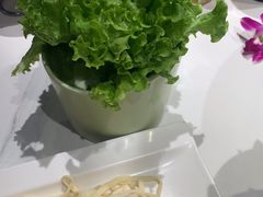 -曲氏老北京铜锅涮肉•火锅(不老街店)